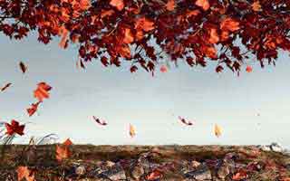 Starknet: What *is* this thing, what's its token, and is that price for real?