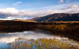 Starknet: What *is* this thing, what's its token, and is that price for real?